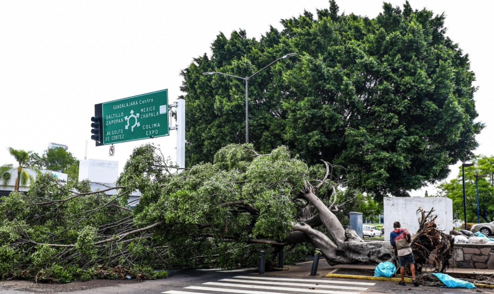 Tormenta registró vientos de hasta 109 km/h en Jalisco